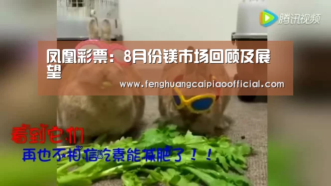 凤凰彩票:8月份镁市场回顾及展望(图1) 在线购彩
