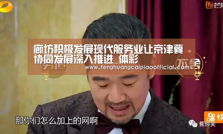 廊坊积极发展现代服务业让京津冀协同发展深入推进_体彩(图1) 体彩
