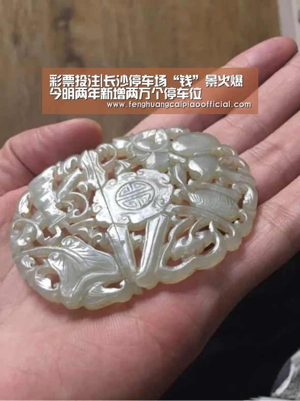 彩票投注|长沙停车场“钱”景火爆今明两年新增两万个停车位(图1) 彩票投注